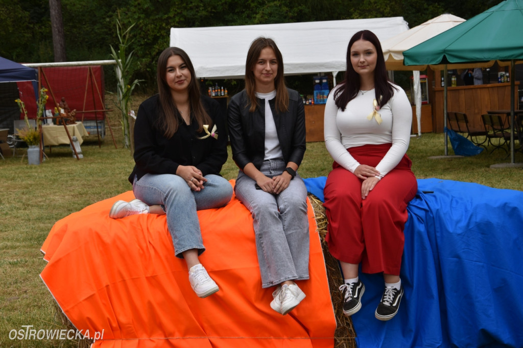 65-lecie OSP Gromadzice i Dożynki