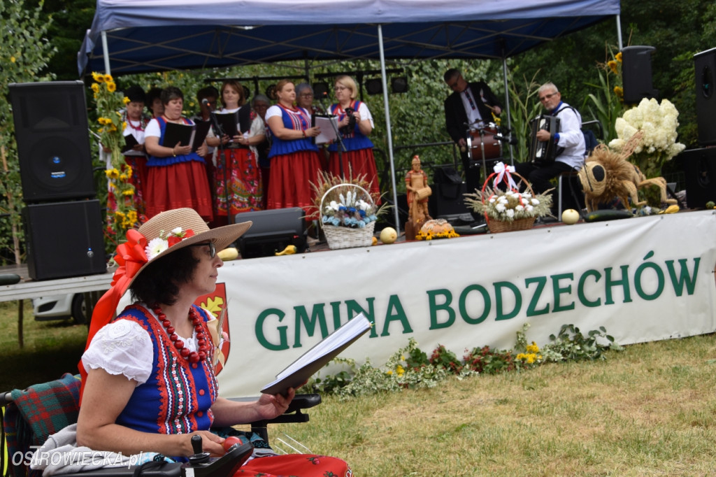 65-lecie OSP Gromadzice i Dożynki