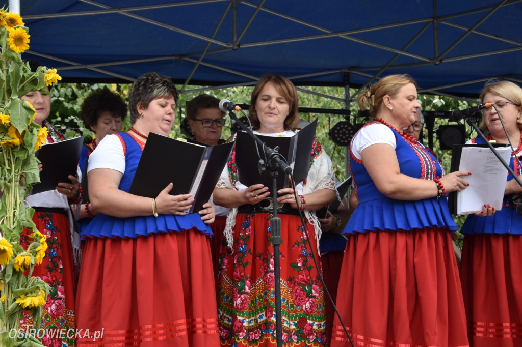 65-lecie OSP Gromadzice i Dożynki