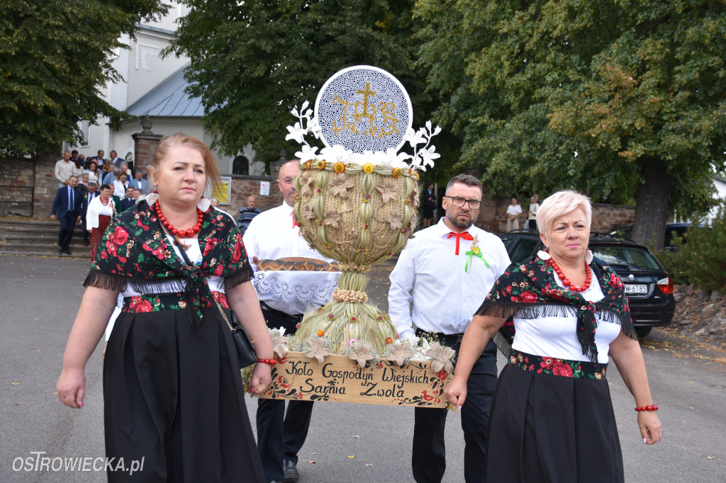Dożynki w Waśniowie