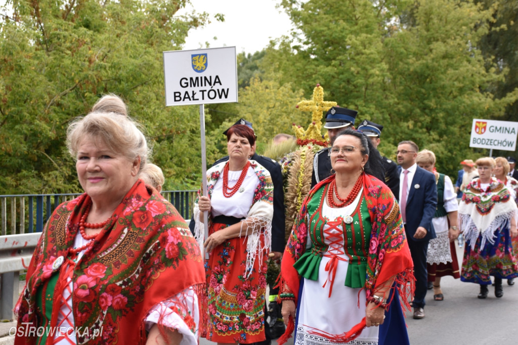 Dożynki Powiatowo-Gminne w Ćmielowie