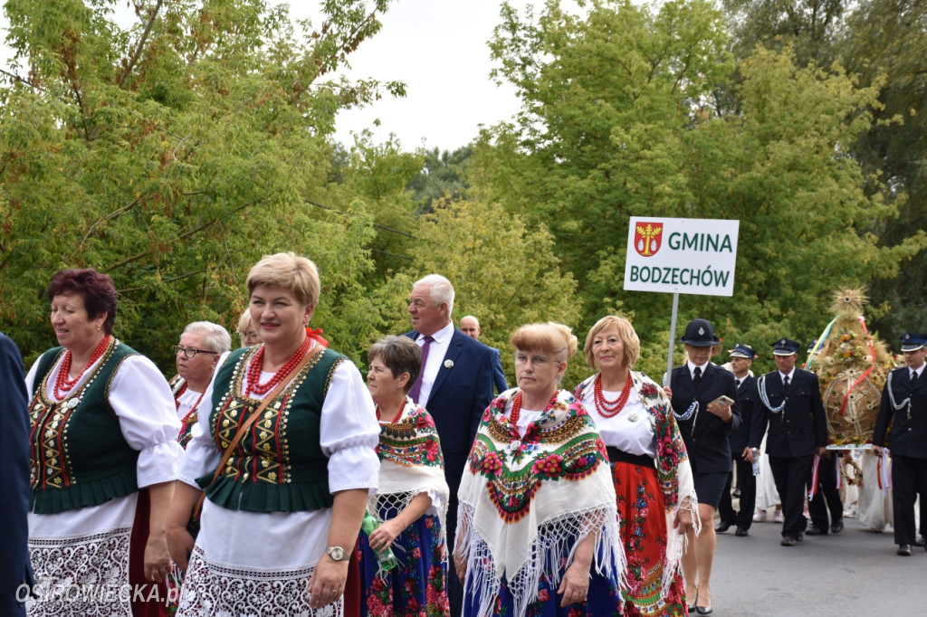 Dożynki Powiatowo-Gminne w Ćmielowie
