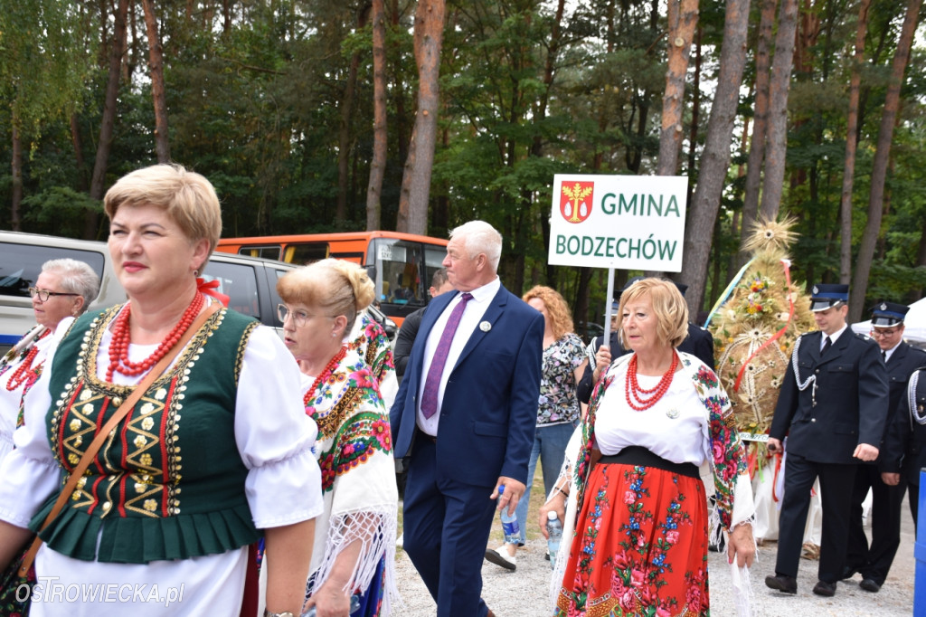 Dożynki Powiatowo-Gminne w Ćmielowie