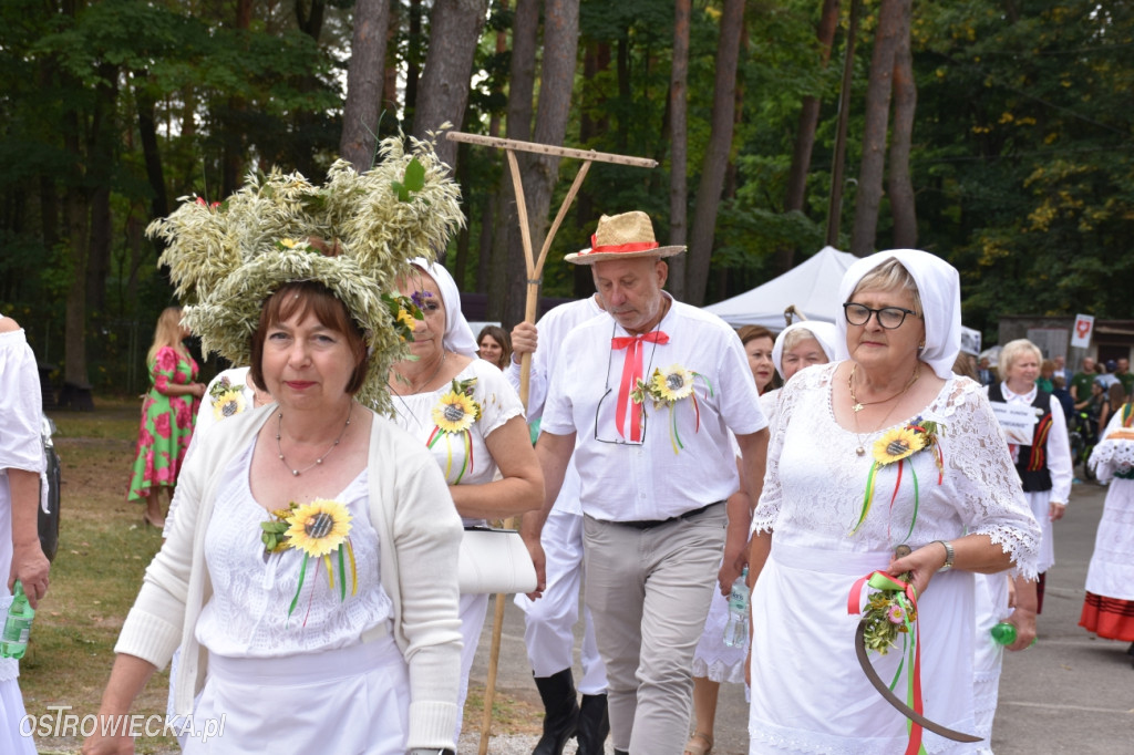 Dożynki Powiatowo-Gminne w Ćmielowie