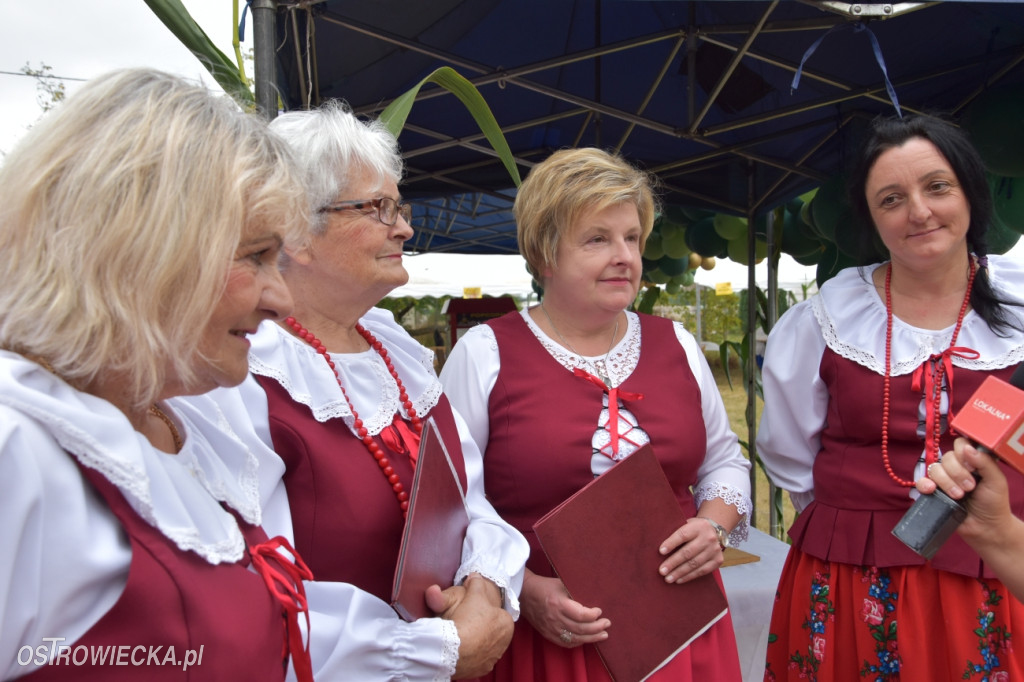 Święto Pieczonego Ziemniaka