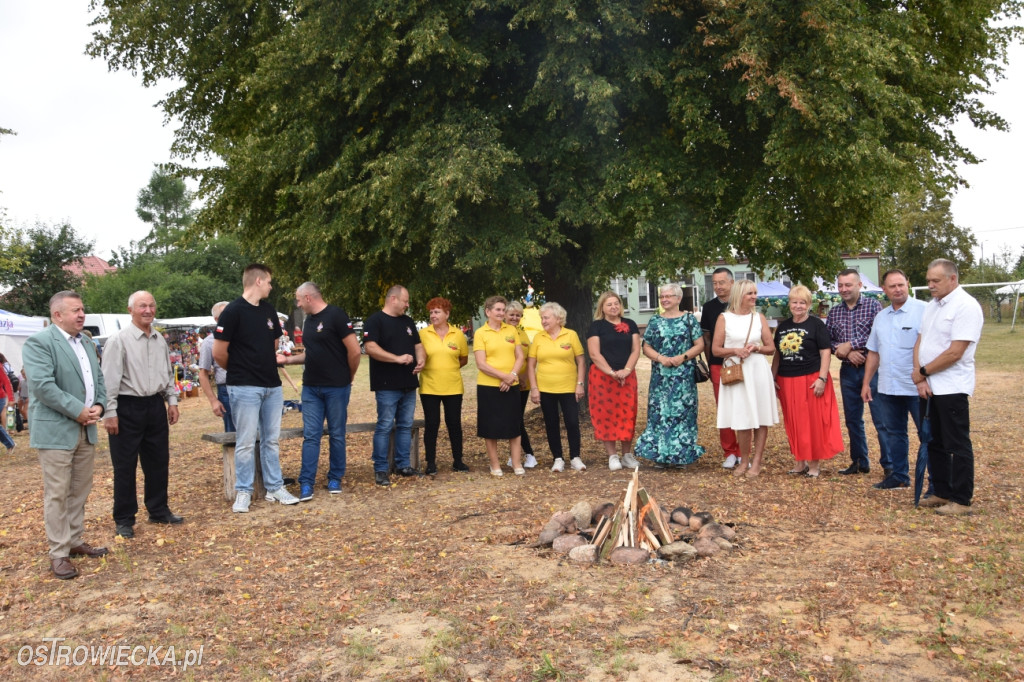 Święto Pieczonego Ziemniaka