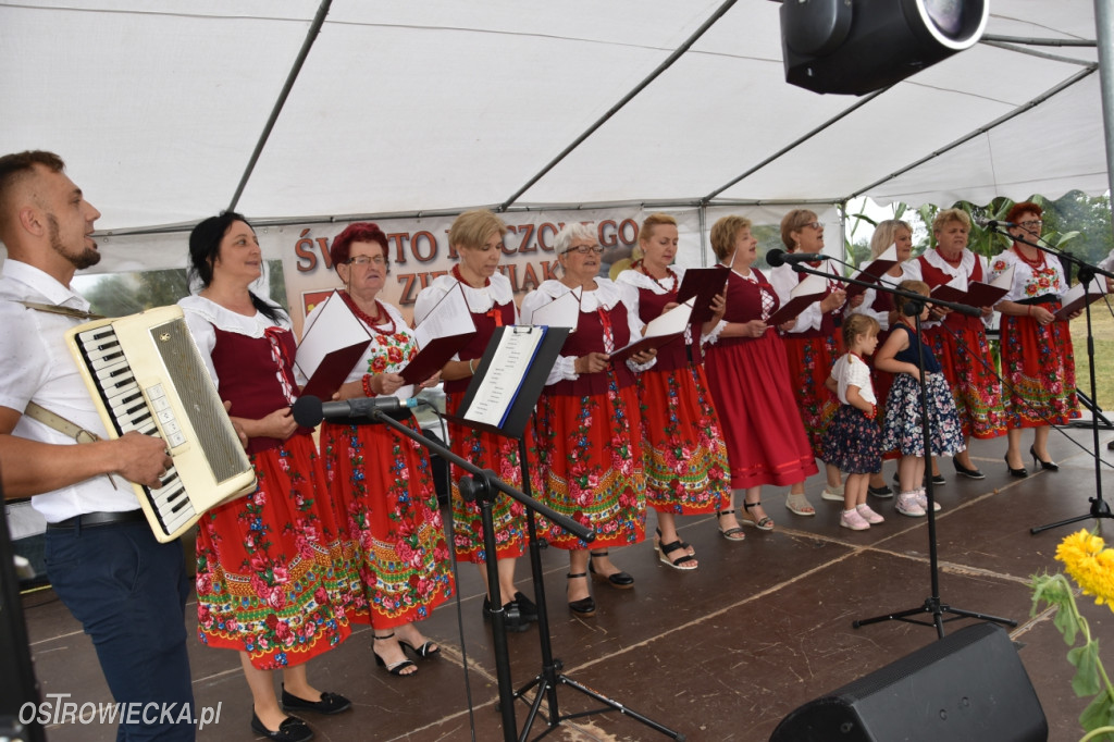 Święto Pieczonego Ziemniaka