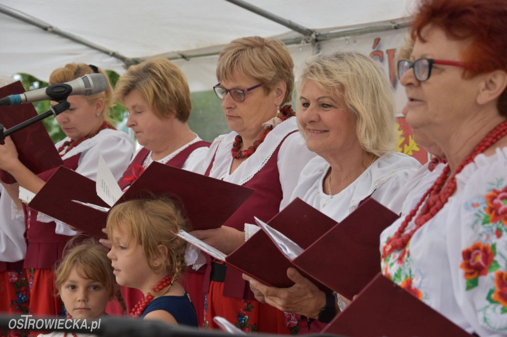 Święto Pieczonego Ziemniaka