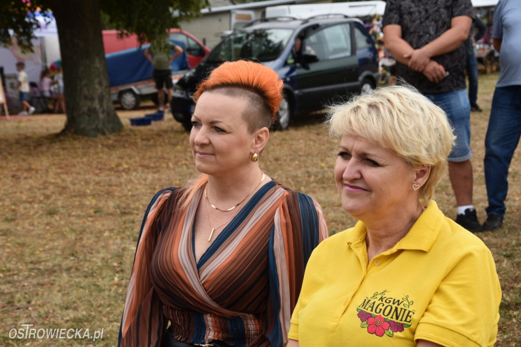 Święto Pieczonego Ziemniaka