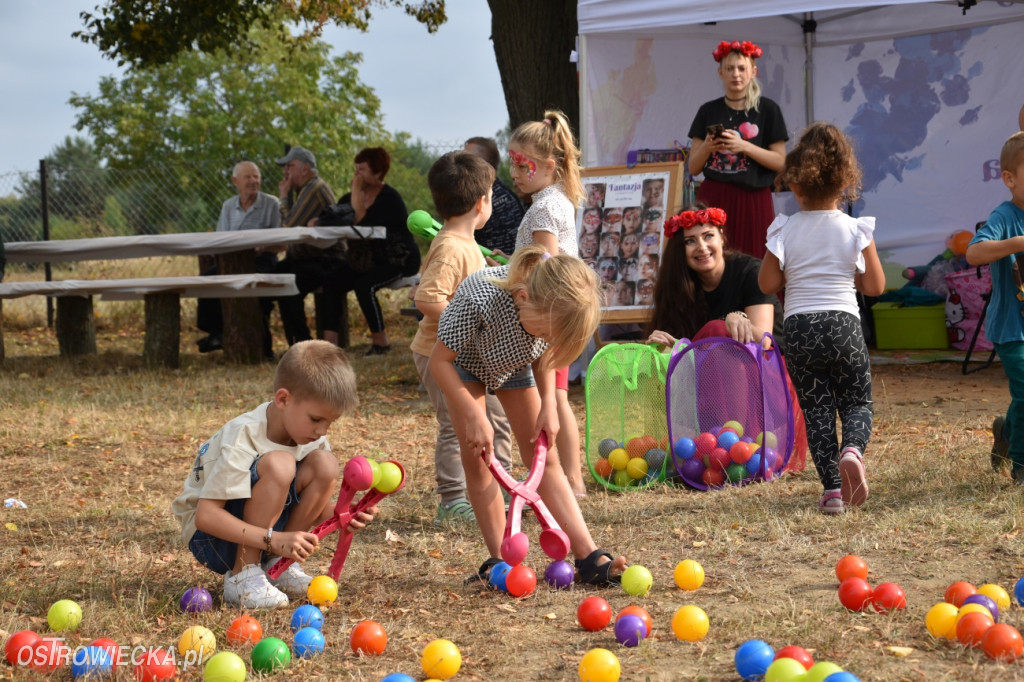 Święto Pieczonego Ziemniaka