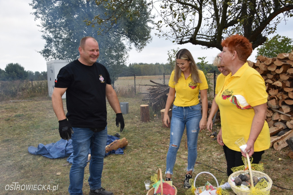 Święto Pieczonego Ziemniaka