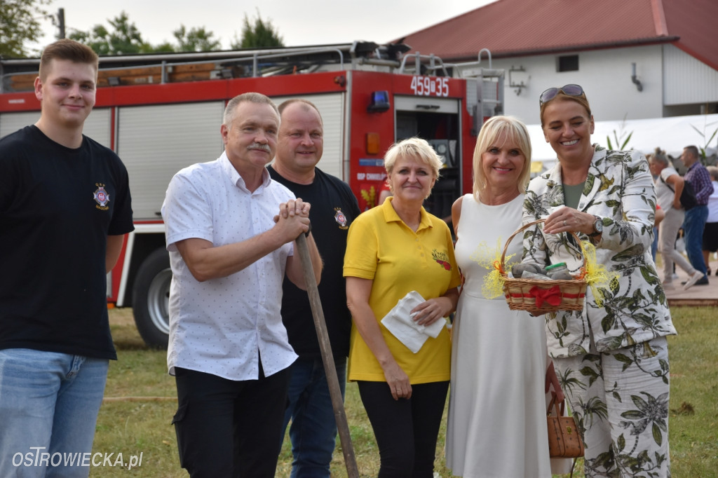 Święto Pieczonego Ziemniaka