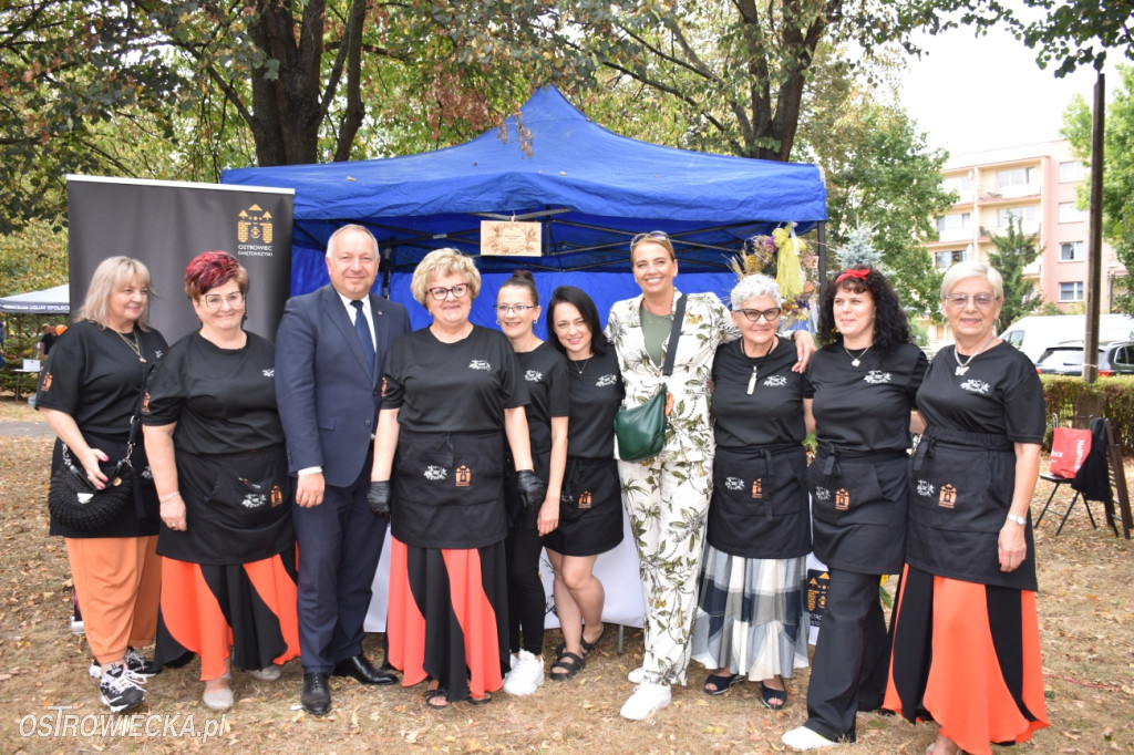 Festiwal Organizacji Pozarządowych