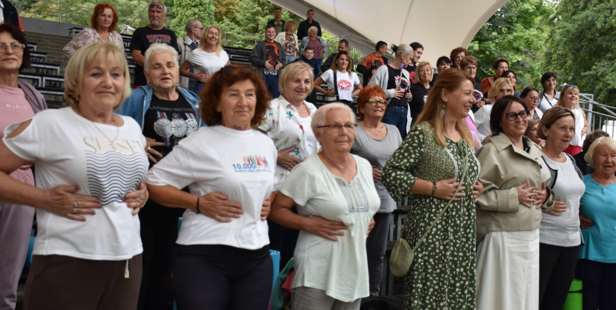 Festiwal w Parku Miejskim