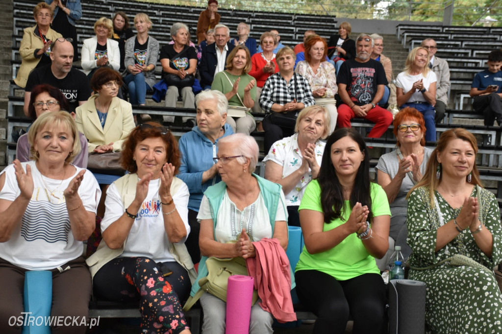 Festiwal w Parku Miejskim