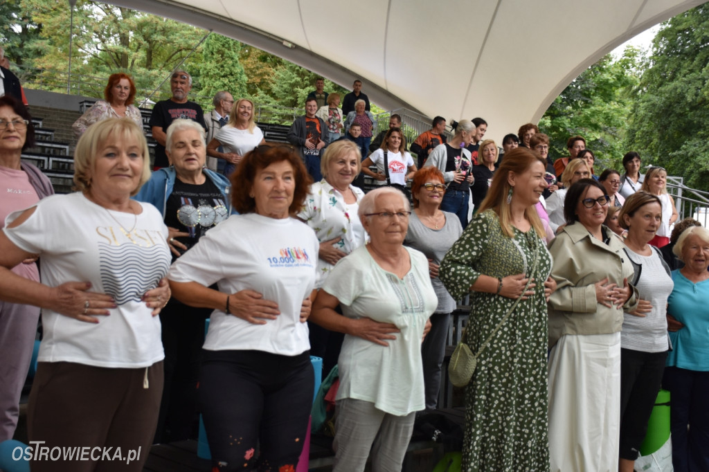 Festiwal w Parku Miejskim