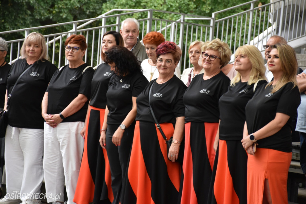 Festiwal w Parku Miejskim