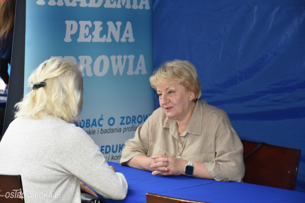 Festiwal w Parku Miejskim