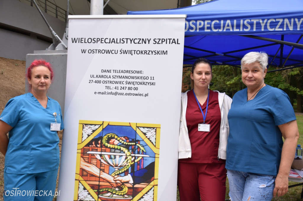 Festiwal w Parku Miejskim