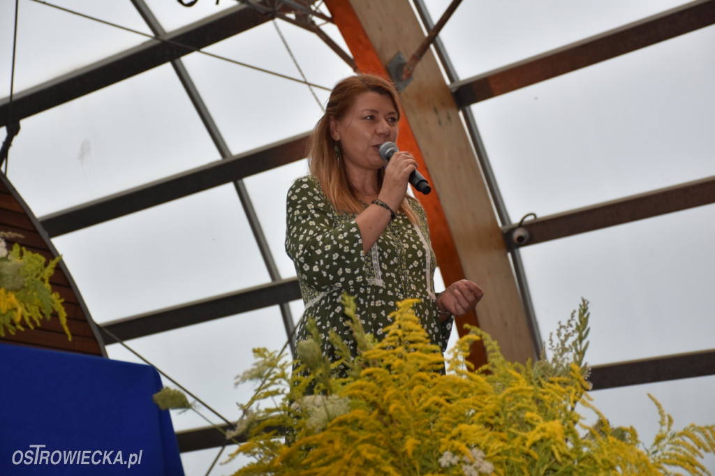 Festiwal w Parku Miejskim