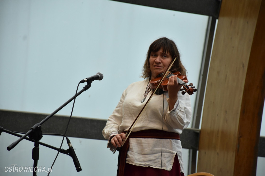 Festiwal w Parku Miejskim