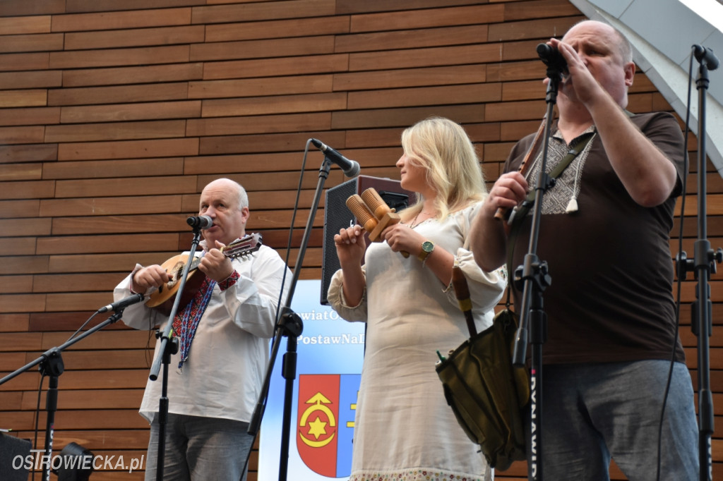 Festiwal w Parku Miejskim