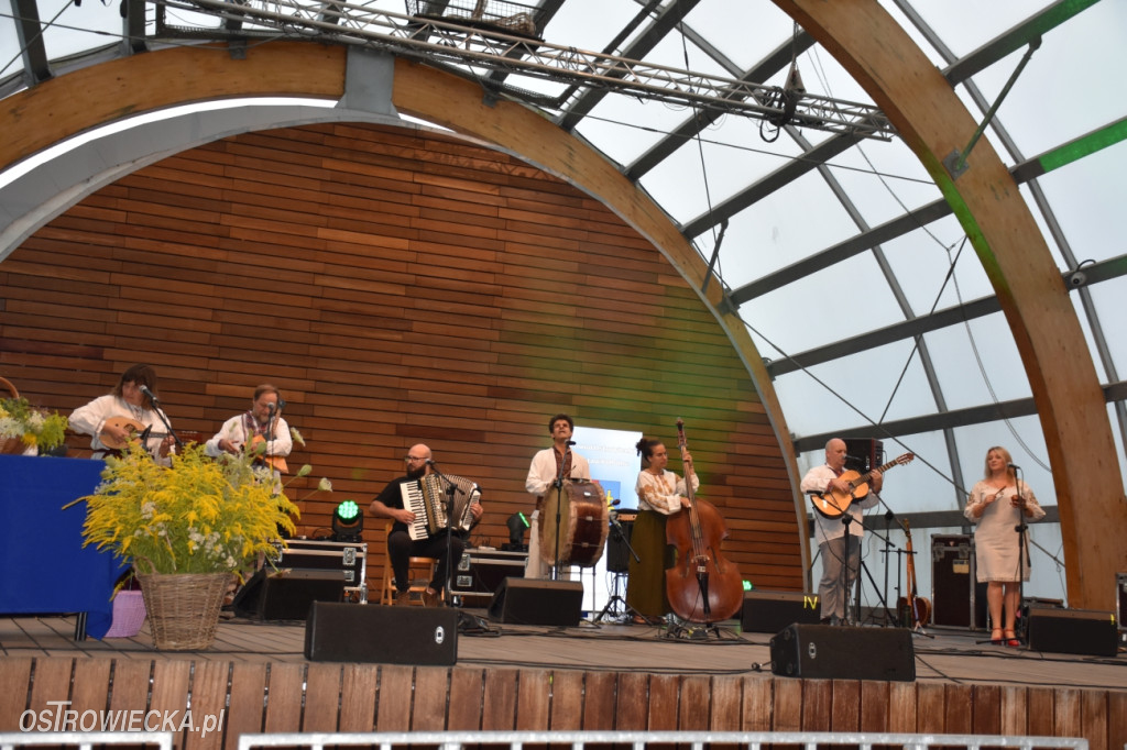Festiwal w Parku Miejskim