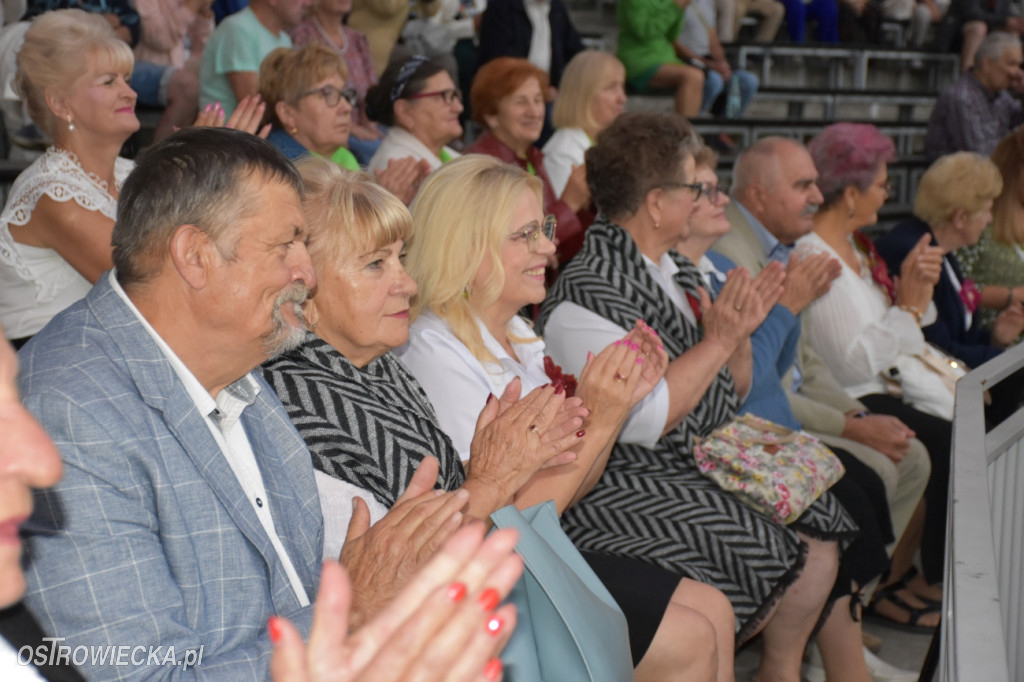 Festiwal w Parku Miejskim