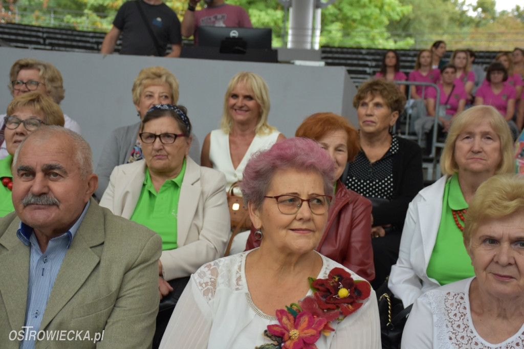 Festiwal w Parku Miejskim