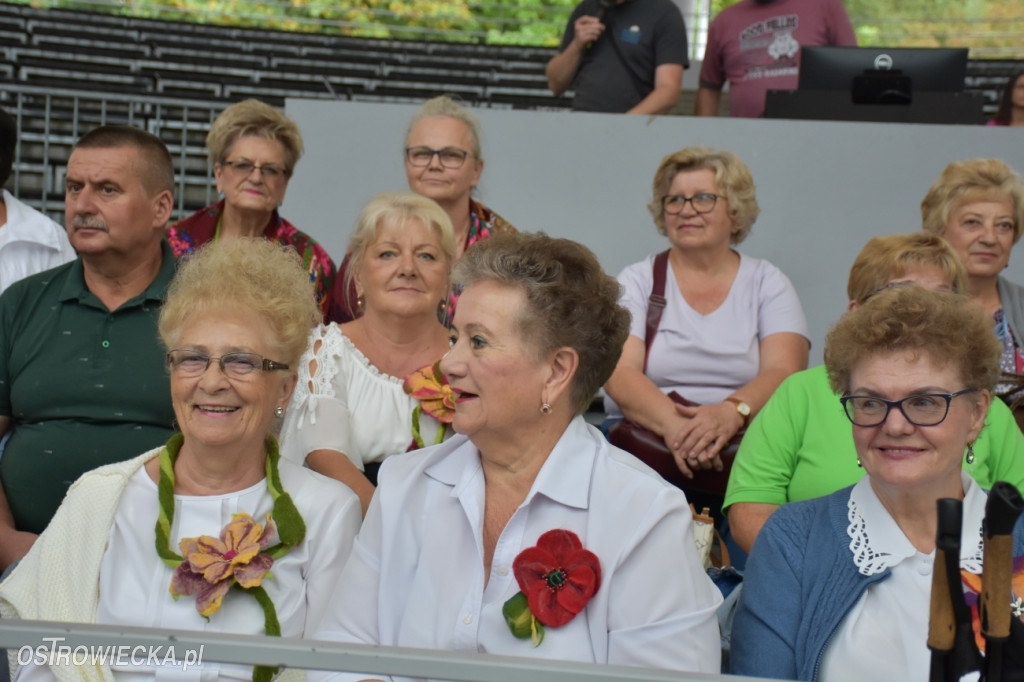 Festiwal w Parku Miejskim