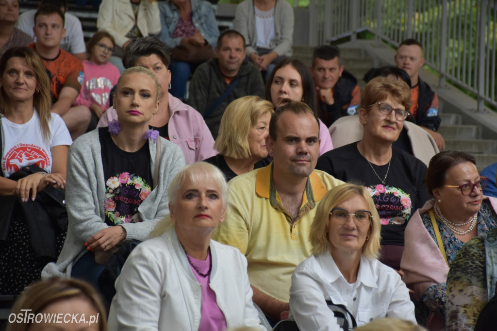 Festiwal w Parku Miejskim
