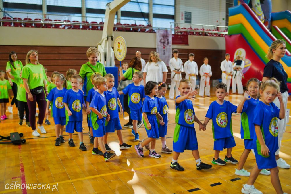 II Ostrowiecki Festiwal Sportu