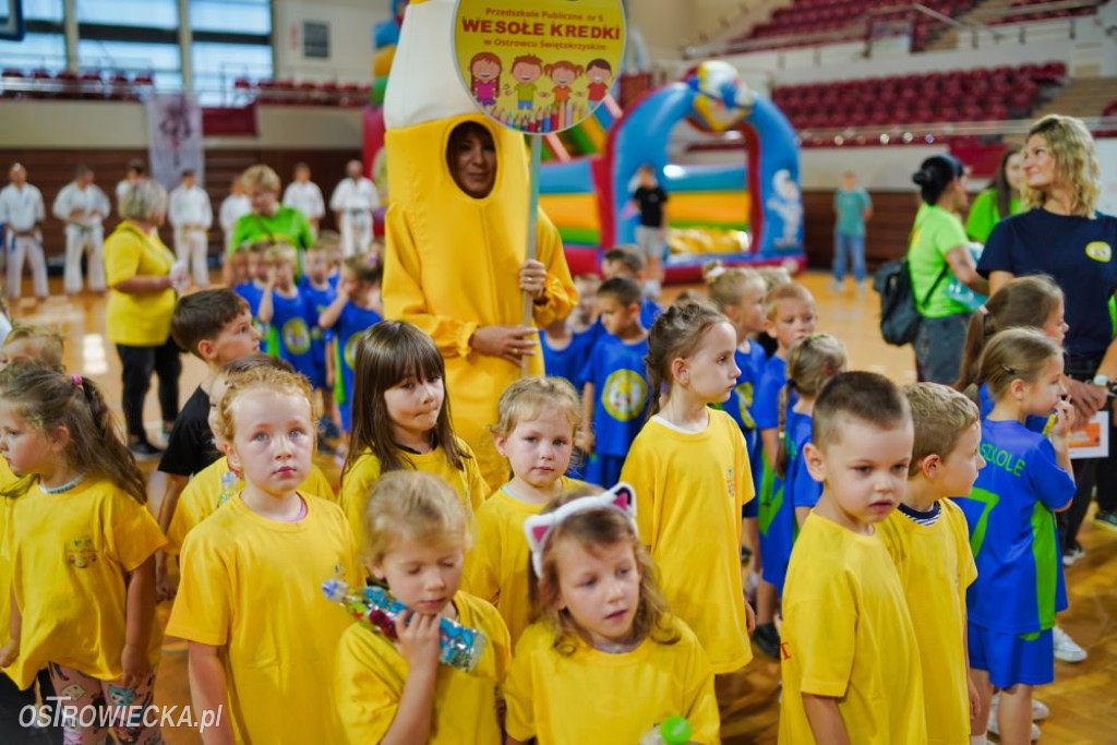 II Ostrowiecki Festiwal Sportu