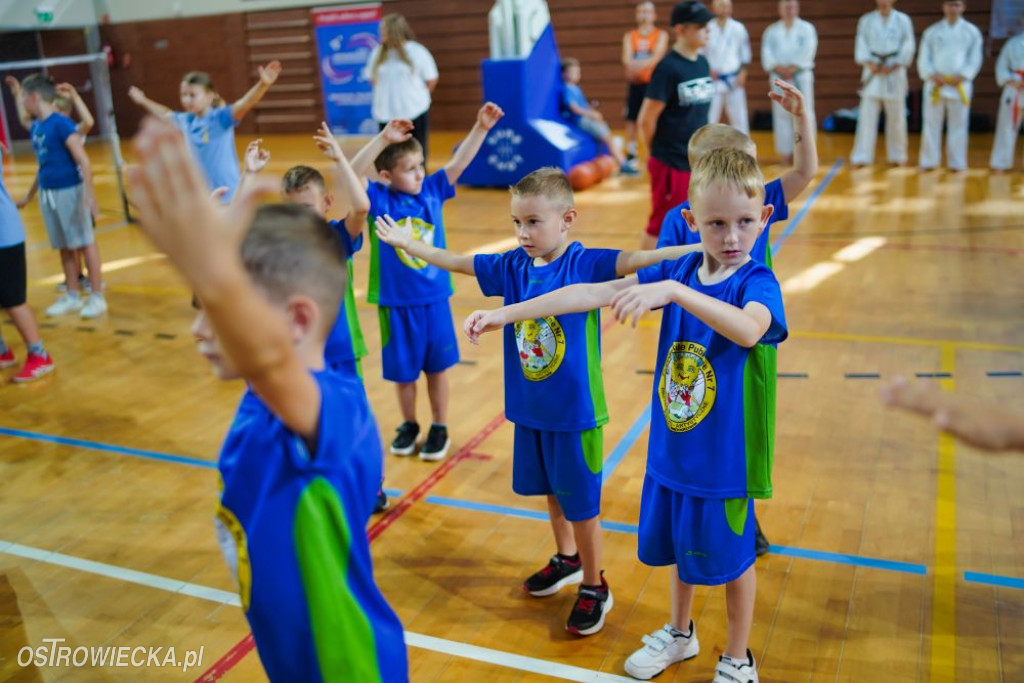 II Ostrowiecki Festiwal Sportu
