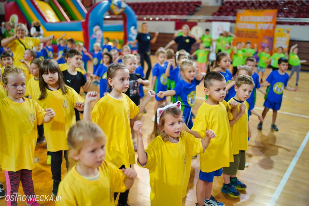 II Ostrowiecki Festiwal Sportu