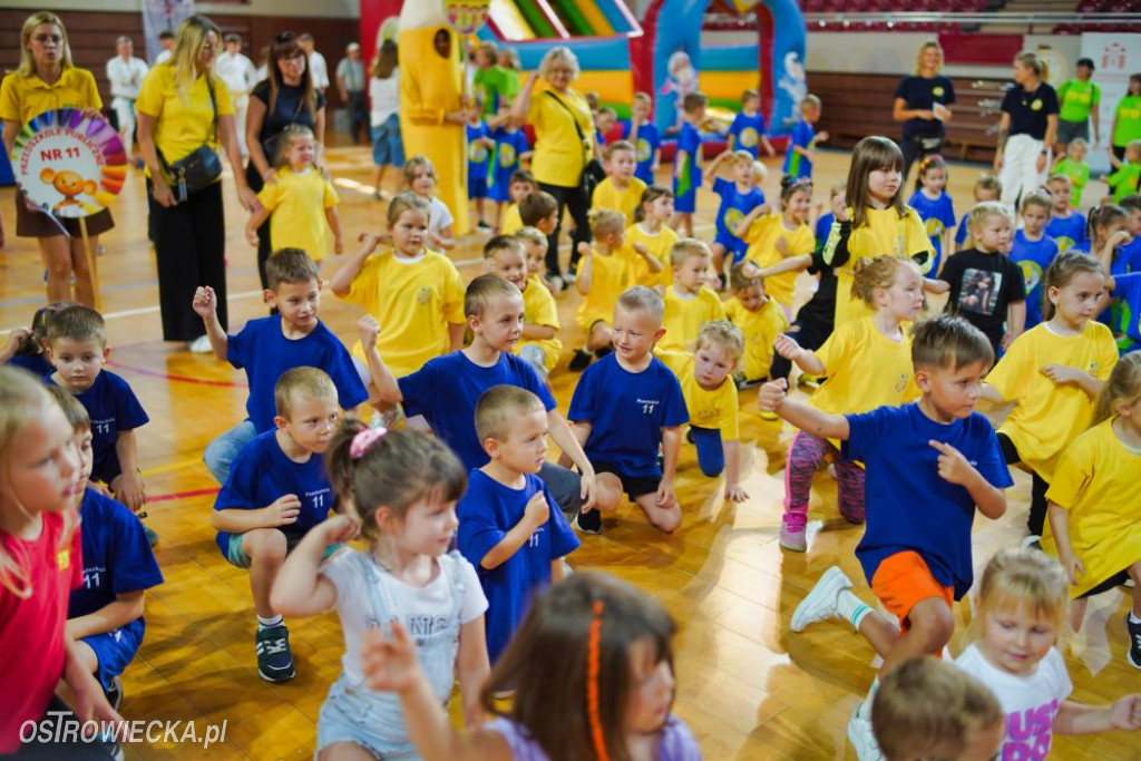 II Ostrowiecki Festiwal Sportu