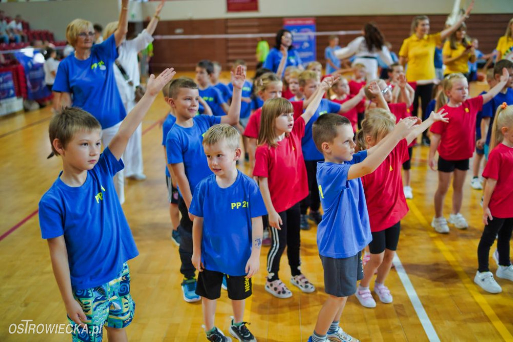 II Ostrowiecki Festiwal Sportu