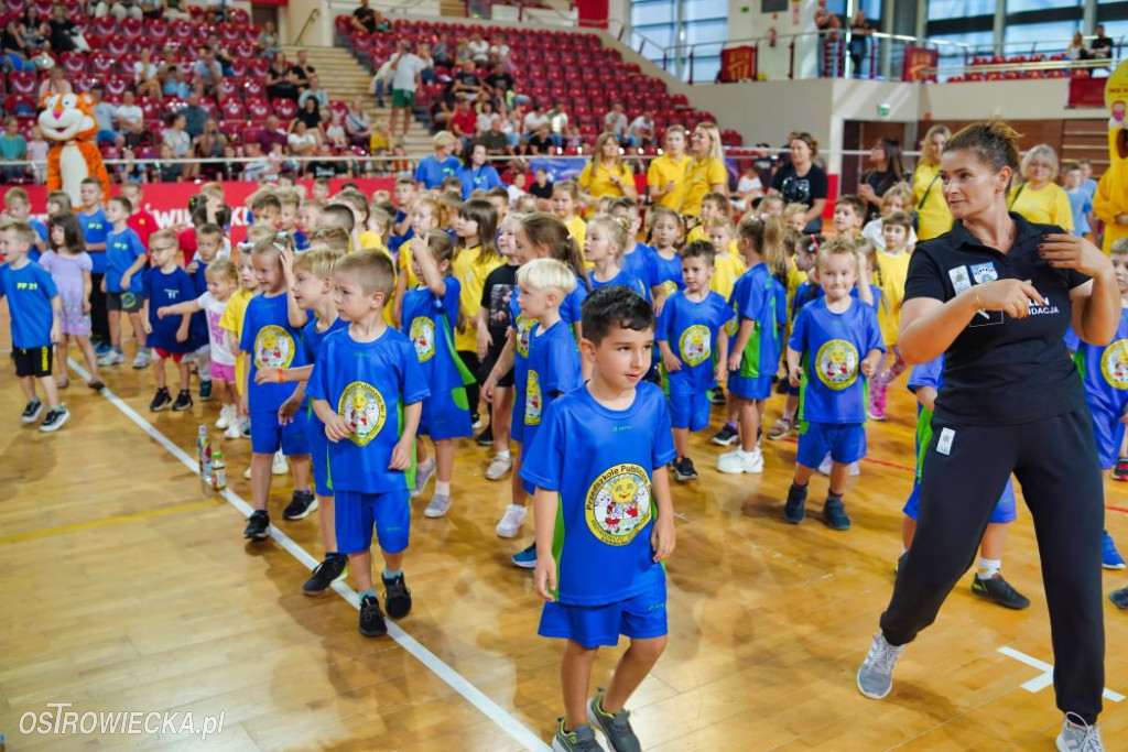 II Ostrowiecki Festiwal Sportu