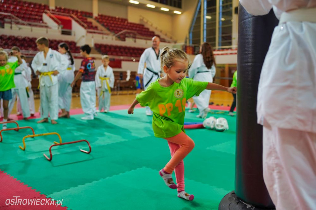 II Ostrowiecki Festiwal Sportu