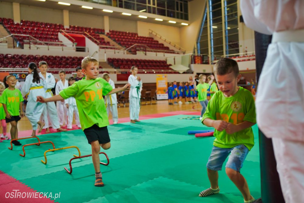 II Ostrowiecki Festiwal Sportu