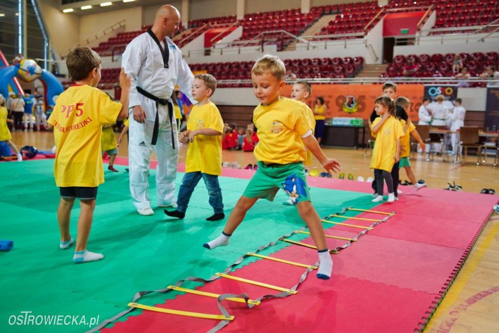 II Ostrowiecki Festiwal Sportu