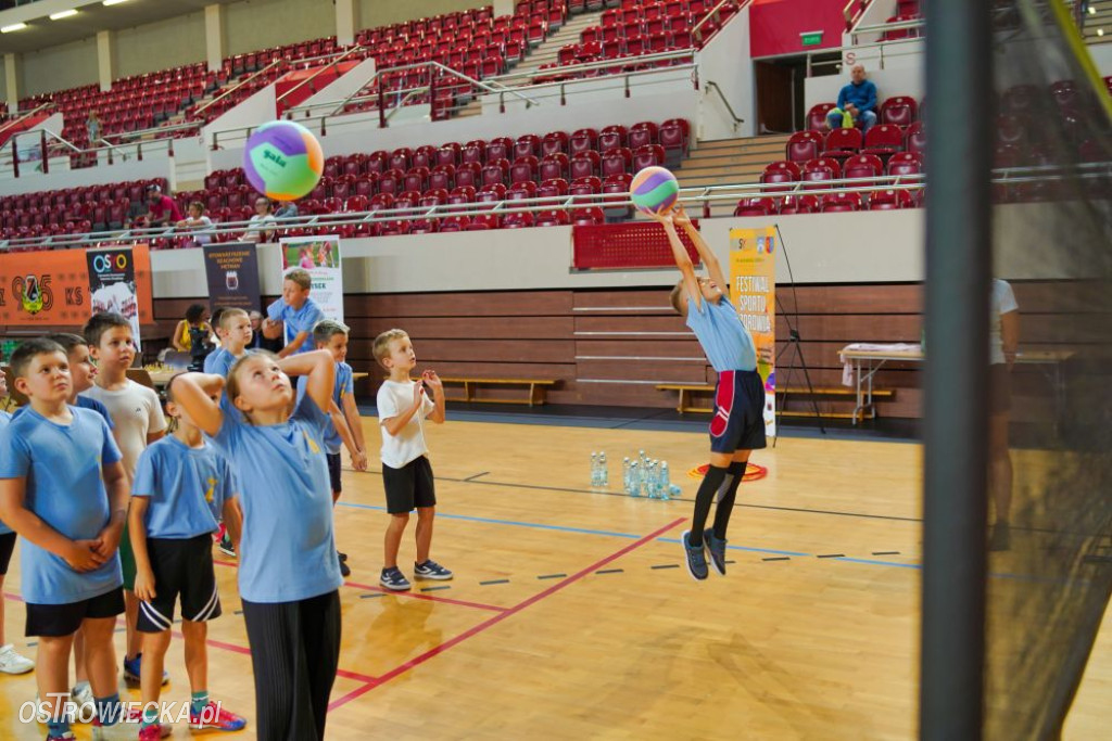 II Ostrowiecki Festiwal Sportu