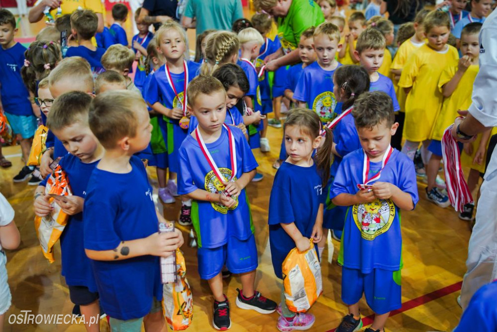 II Ostrowiecki Festiwal Sportu