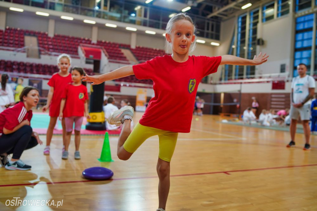 II Ostrowiecki Festiwal Sportu