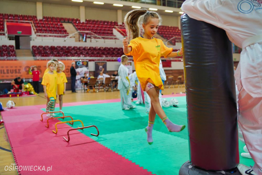 II Ostrowiecki Festiwal Sportu