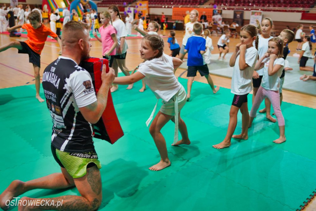 II Ostrowiecki Festiwal Sportu