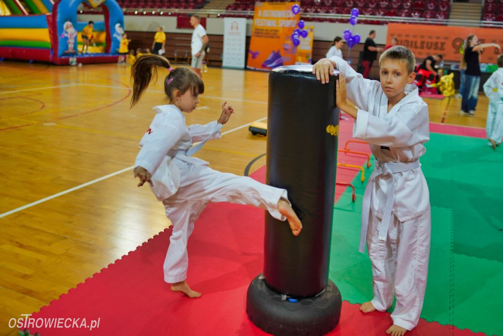 II Ostrowiecki Festiwal Sportu