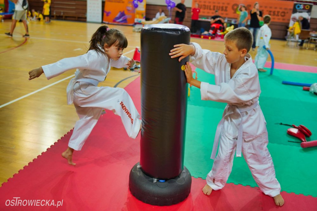 II Ostrowiecki Festiwal Sportu