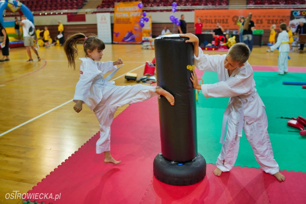 II Ostrowiecki Festiwal Sportu