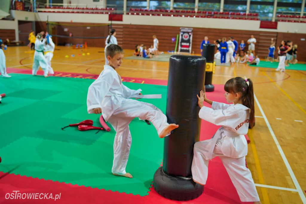 II Ostrowiecki Festiwal Sportu